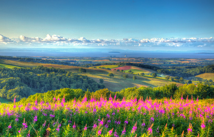 Somerset countryside