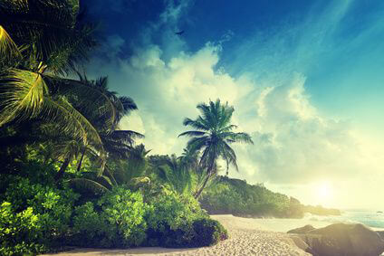 Sixt Rent A Car Seychelles Sixt Rent A Car Seychelles