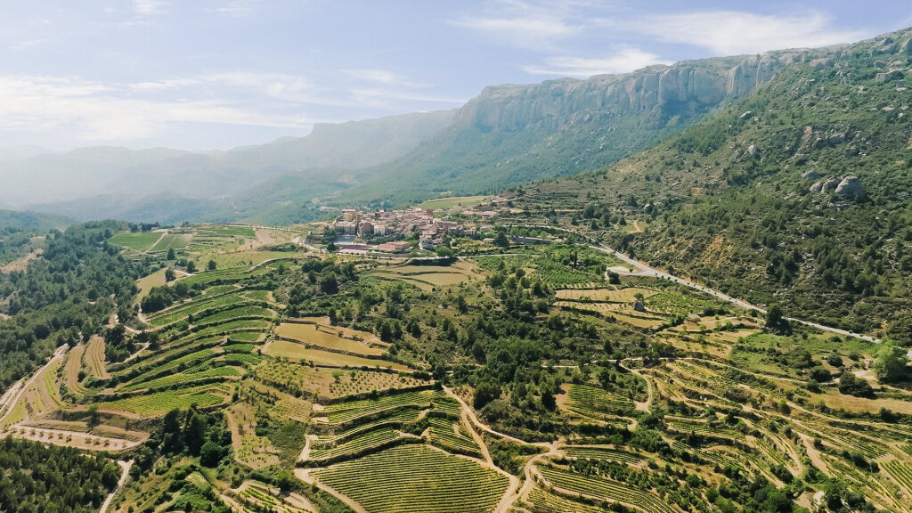 Grand Tour of Catalonia: Views of terraced vineyards of the Monsant