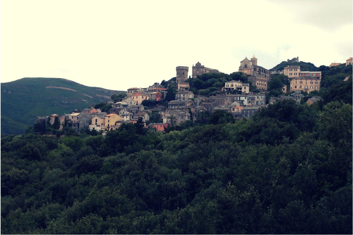 Rogliano town view