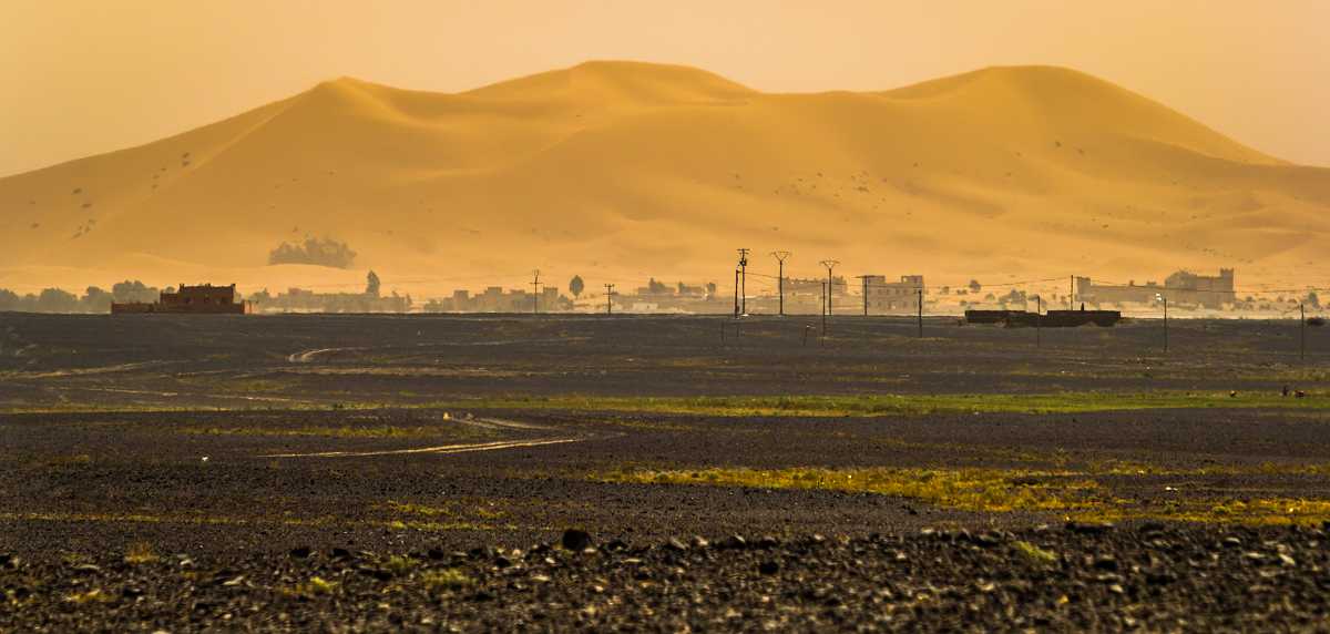 Black desert and oasis of Merzouga