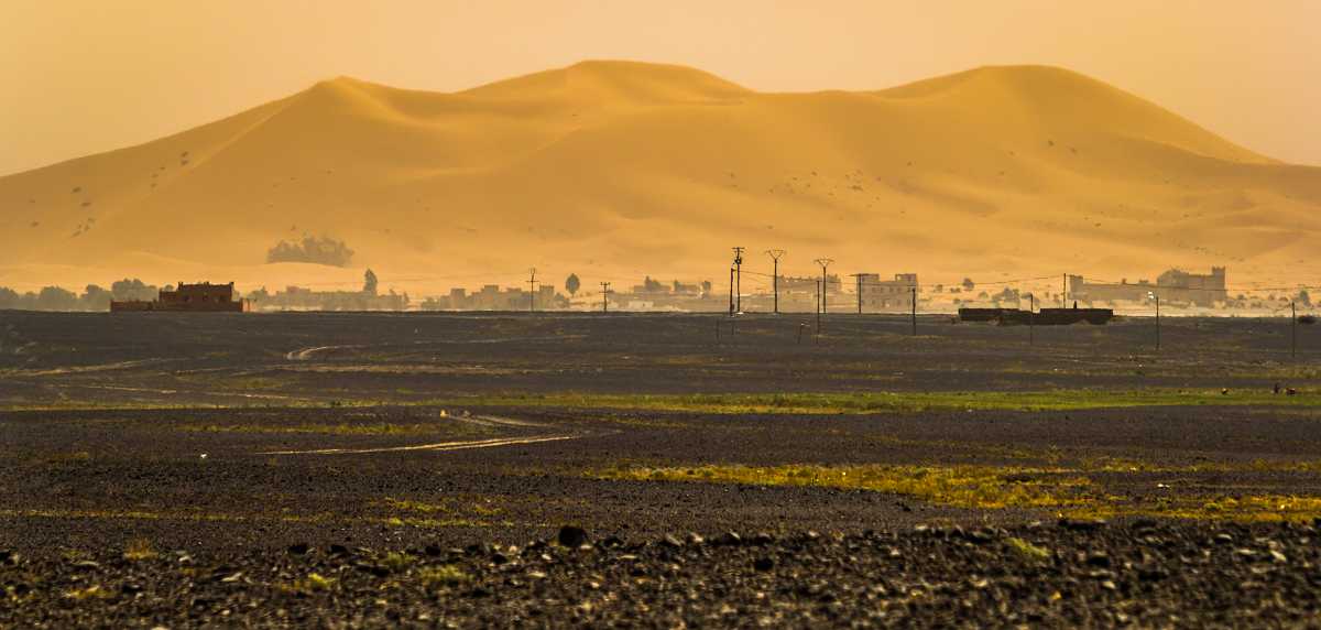 Black desert and oasis of Merzouga