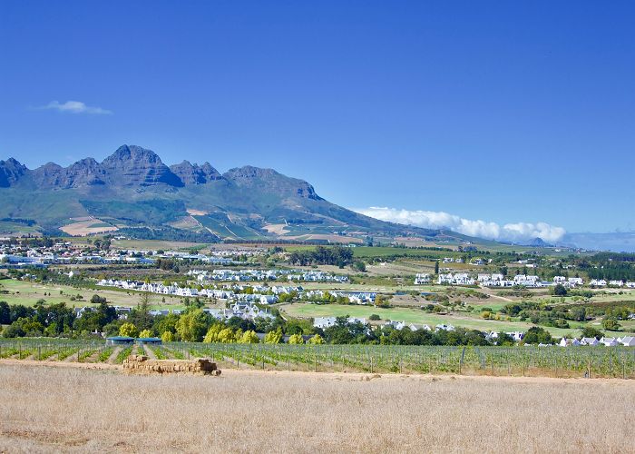 Wine farm Stellenbosch