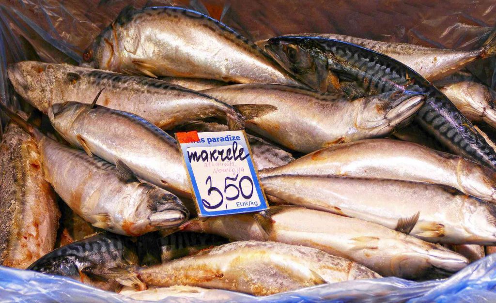 Fish markets in Riga