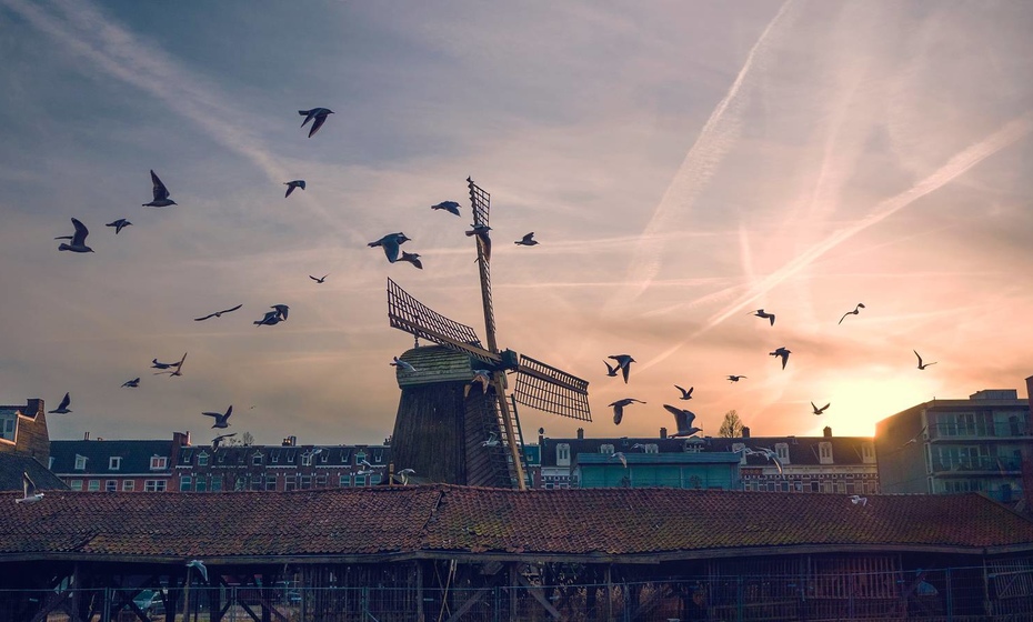 windmill by sunset in Amsterdam