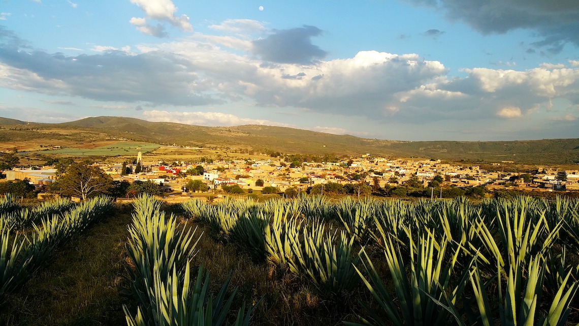 Town of Tequila